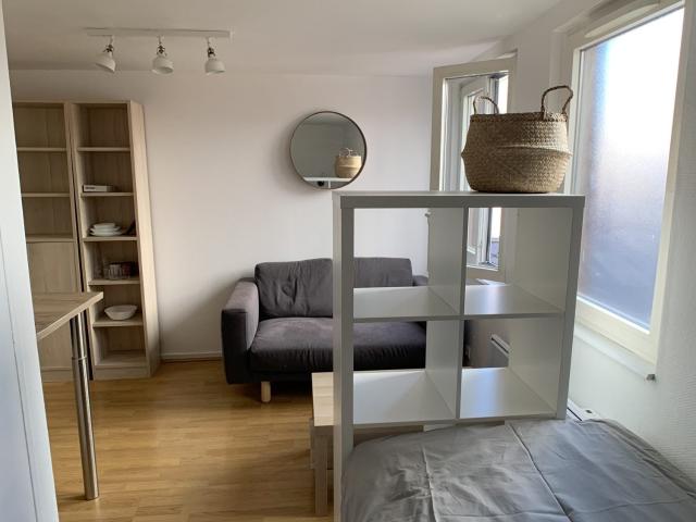 Location Appartement Quai des Pêcheurs, Strasbourg