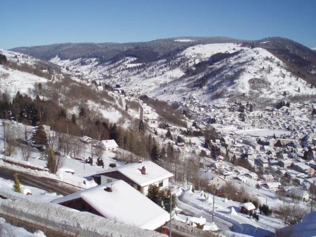 Location Appartement Rampe des Carriers, La Bresse