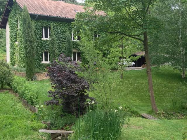 Location Appartement Route de Saint Fortunat, Saint Cyr au Mont d'Or