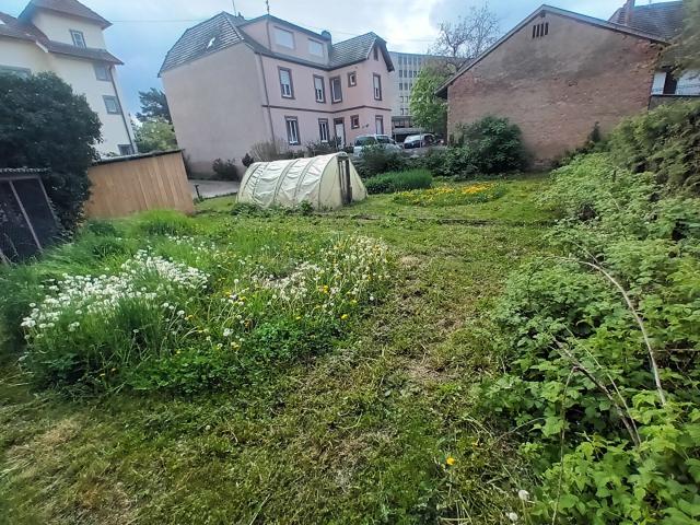 Location Appartement Route de Strasbourg, Sélestat
