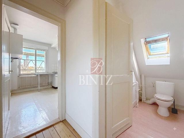 Location Appartement Route du Général de Gaulle, Schiltigheim