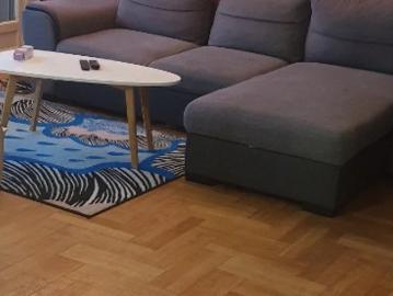 Location Appartement Rue Commandant Charcot, Lyon