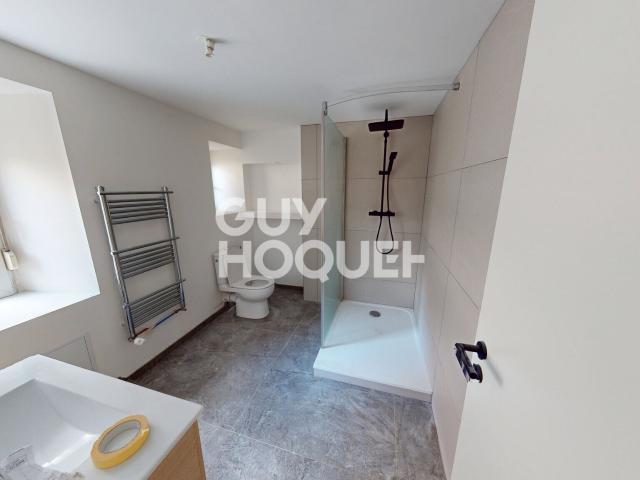 Location Appartement Rue Charles de Gaulle, Saint Amarin