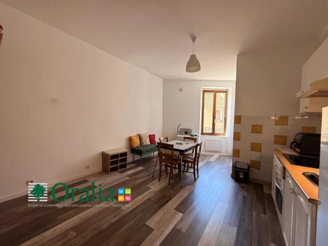 Location Appartement Rue Claude Massu, Saint Germain au Mont d'Or
