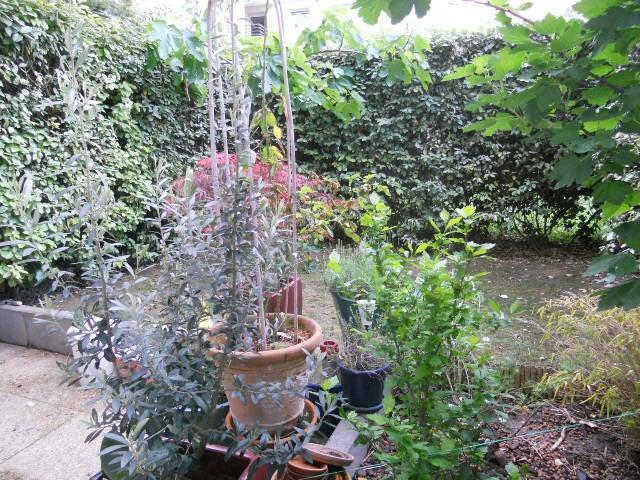 Location Appartement Rue Alexandre Bachelet, Saint Ouen sur Seine
