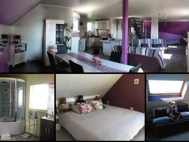 Location Appartement Rue Belle Vue, Uhlwiller