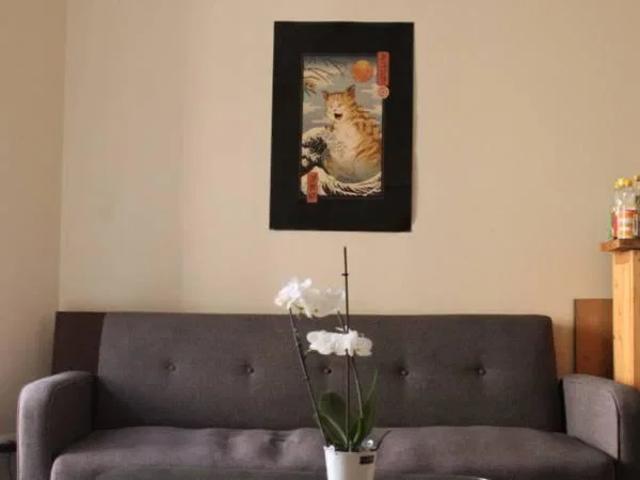 Location Appartement Rue Burdeau, Lyon