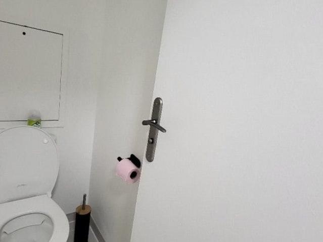 Location Appartement Rue Gabriel Péri, Saint Denis