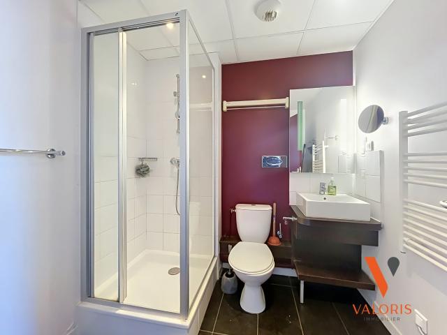 Location Appartement Rue Germain, Grenoble