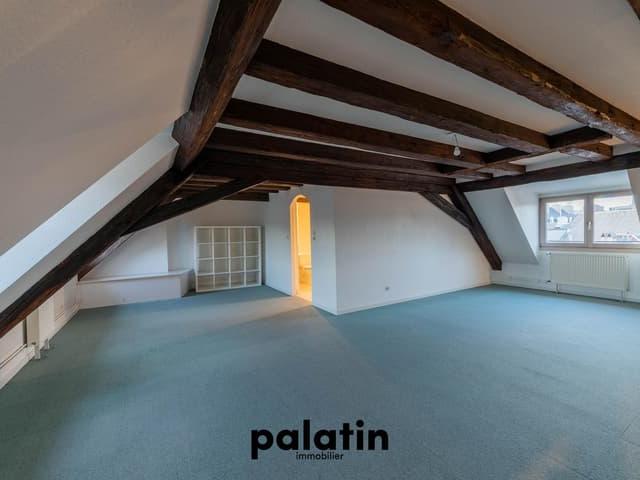 Location Appartement Rue Gutenberg, Strasbourg