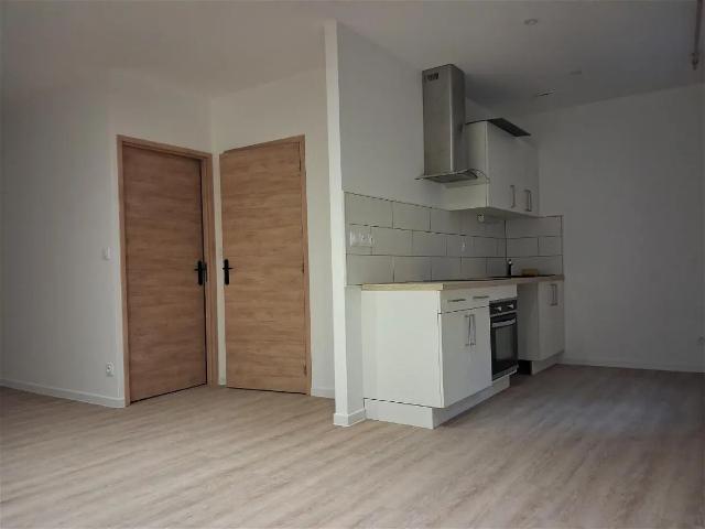 Location Appartement Rue Docteur Temporal, Saint Rambert en Bugey