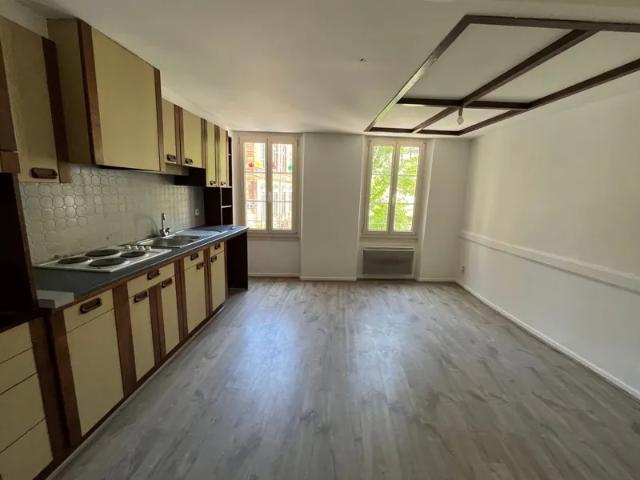 Location Appartement Rue d'Aigues Passes, Mende