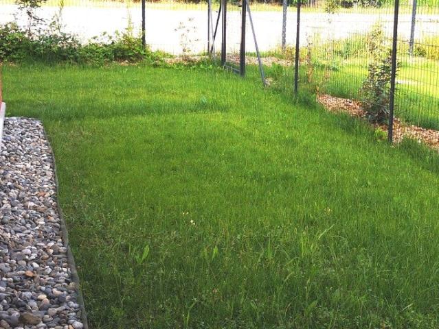 Location Appartement Rue de Fenouillet, Saint Alban
