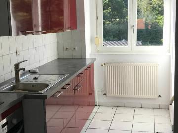 Location Appartement Rue de la Brême d'Or, Spicheren