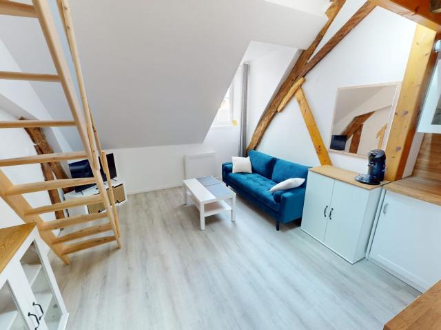 Location Appartement Sentier de Gobergeon, Olivet