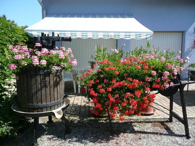 Location Appartement Rue de Rouffach, Oberhergheim