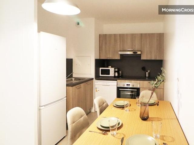 Location Appartement Rue des Malteries, Schiltigheim