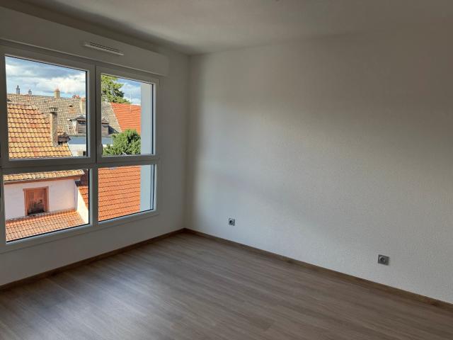 Location Appartement Rue des Marronniers, Mulhouse