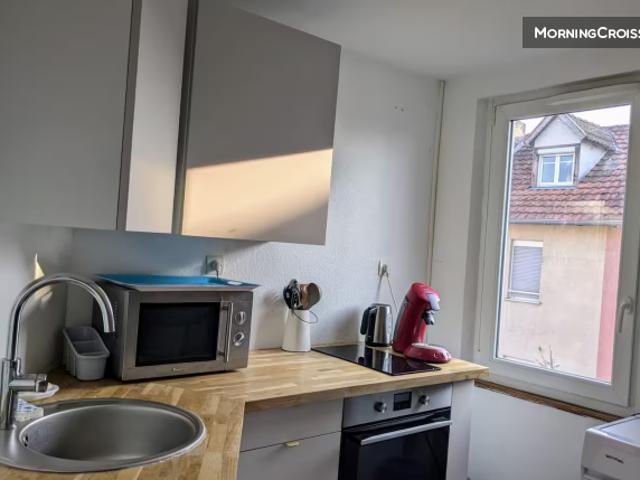 Location Appartement Rue des Aulnes, Strasbourg
