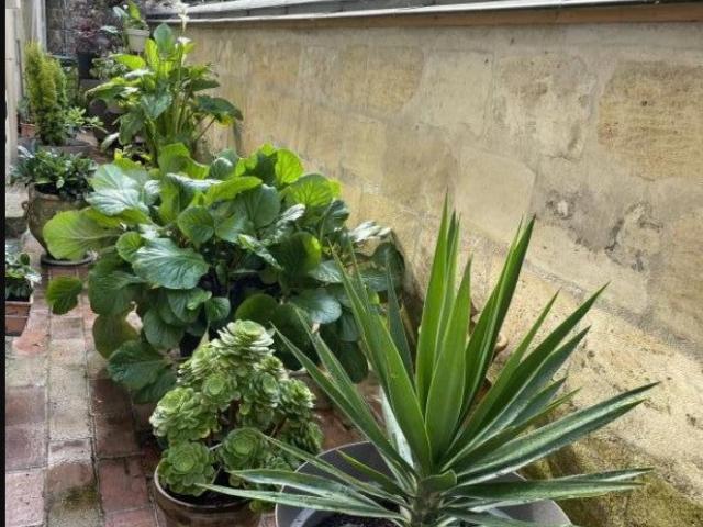 Location Appartement Rue des Treilles, Libourne