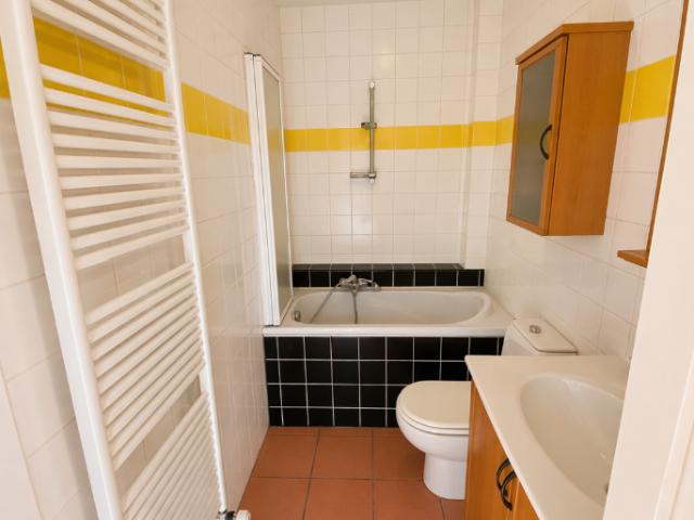 Location Appartement Rue des Vignerons, Wangen