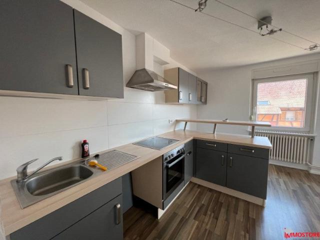 Location Appartement Rue du 19 Novembre, Waldighoffen