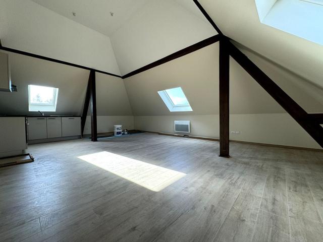 Location Appartement Rue du Cercle, Mulhouse
