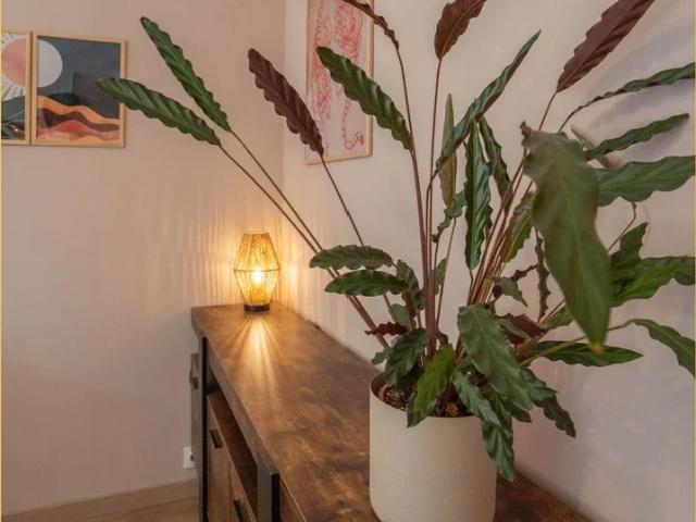 Location Appartement Rue du Champ de la Vigne, Annecy