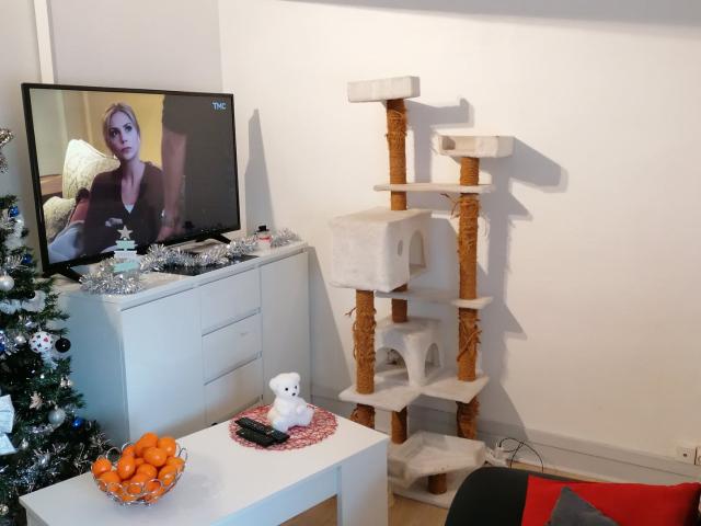 Location Appartement Rue du Gorbelet, Chazay d'Azergues