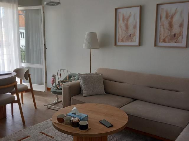 Location House Rue du Général de Gaulle, Habsheim