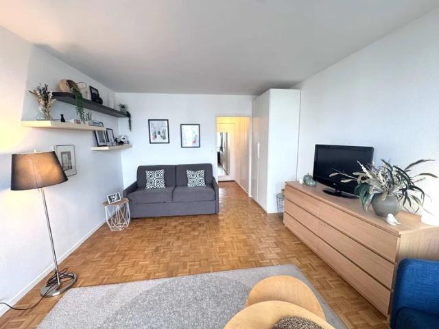 Location Appartement Rue du Docteur Finlay, Paris