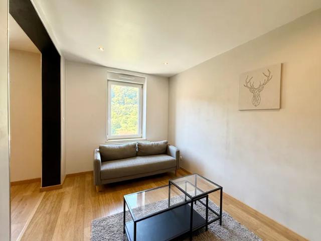 Location Appartement Rue du Maréchal Foch, Batzenthal