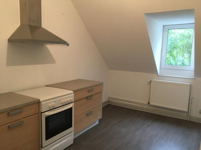 Location Appartement Rue du Parc, Sarreguemines