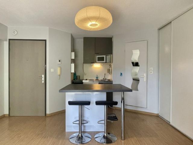 Location Appartement Rue du Professeur Beauvisage, Lyon