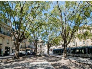 Location Appartement Rue duffour dubergier, Bordeaux