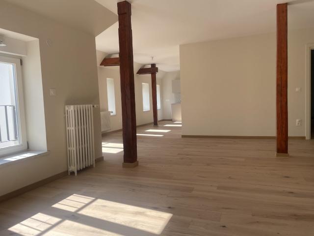 Location Appartement Rue Fischart, Strasbourg