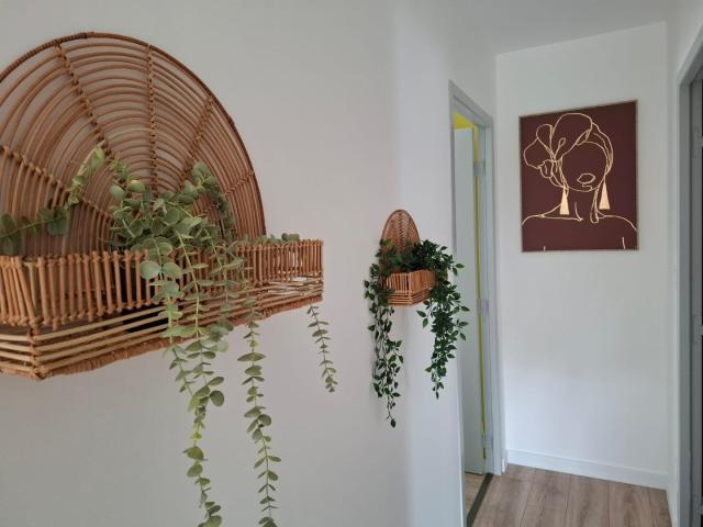Location Appartement Rue Henri de Sahuque, Toulouse