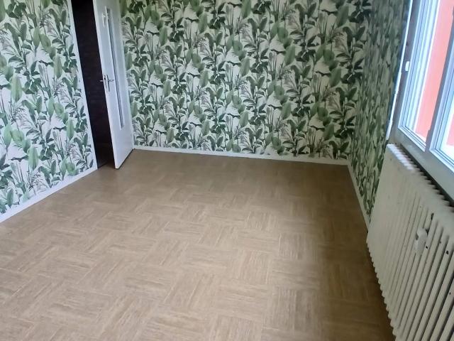 Location Appartement Rue Irène et Frédéric Joliot Curie, Belfort