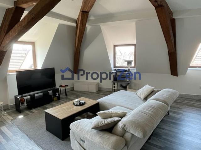 Location Appartement Rue Jean Jaurès, Soultz Haut Rhin