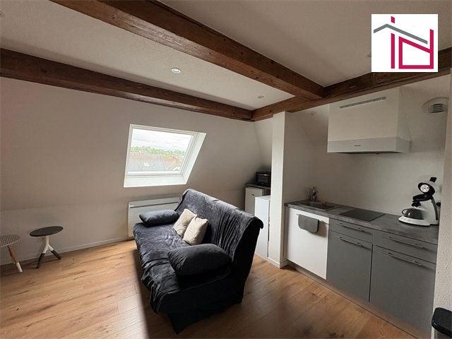 Location Appartement Rue Jean Moulin, Blotzheim