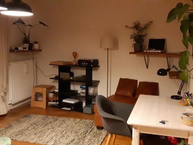 Location Appartement Rue Juliette Récamier, Lyon
