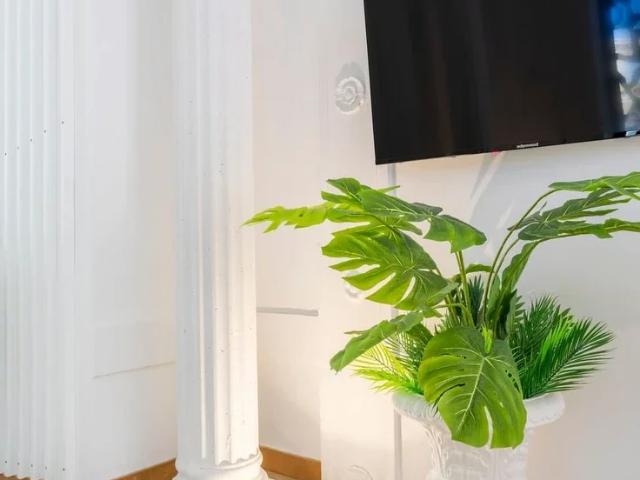 Location Appartement Rue Montgrand, Marseille