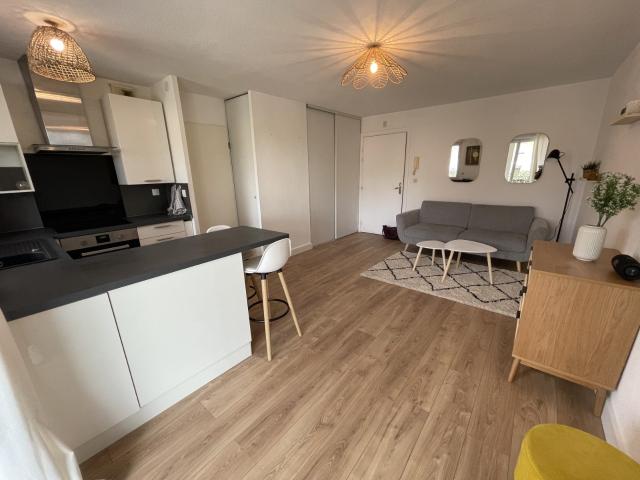 Location Appartement Rue Saint Charles, Castelginest