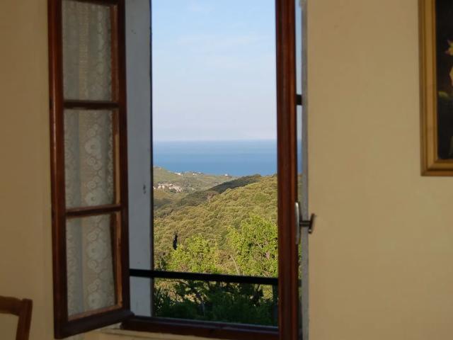 Location Appartement Rue Sebastiano d'Alzetto, Bastia