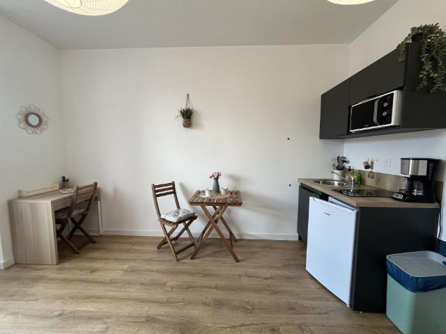 Location Appartement Rue Paillard, Saint Étienne