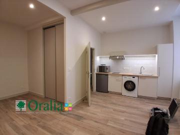 Location Appartement Rue Pierre Corneille, Lyon