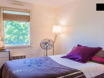 Transvaal, Lyon 8e Arrondissement, Lyon, Rhône, Rhône-Alpes