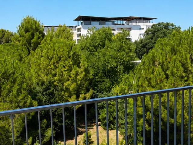 Location Appartement Rue Verrochio, Montpellier
