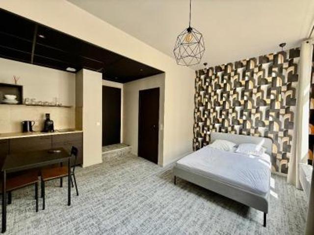 location appartement saint etienne 1 pièce 21 m2 loire 42000 540 € / mois
