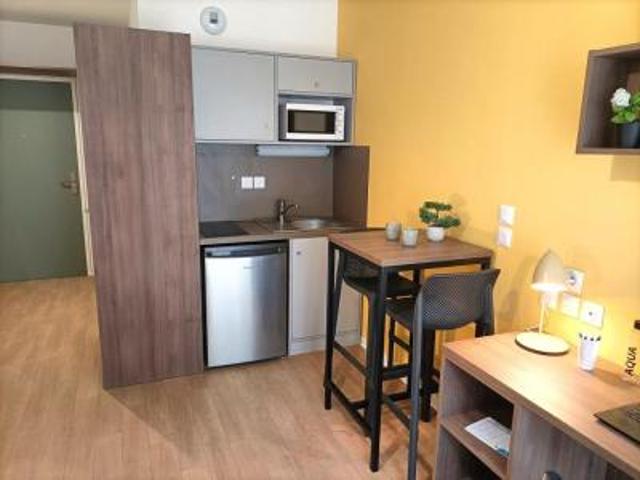 location appartement saint priest 1 pièce 20 m2 rhone 69800 520 € / mois